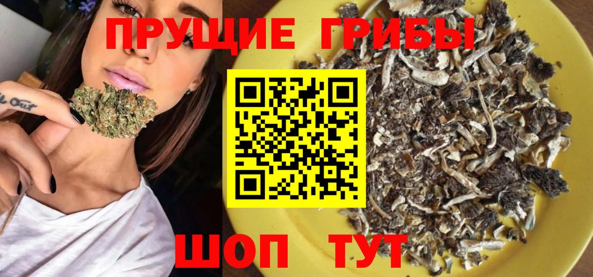 Галлюциногенные грибы Cubensis  Галлюциногенные грибы Psilocybe  Усть-Илимск  Вход с VPN 
